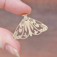 Enchanted Moth Frames - Gold