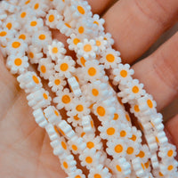 Glass Daisies