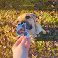 Holographic Smol Bear Approved Sticker
