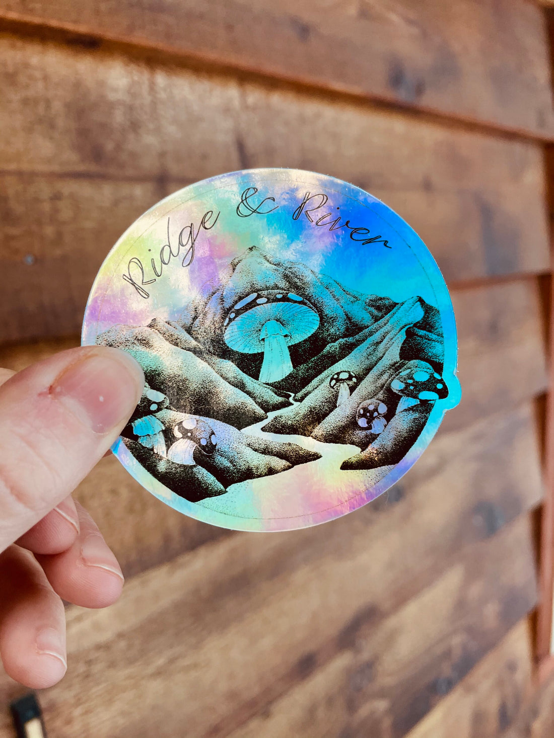 Rainbow Holographic Sticker