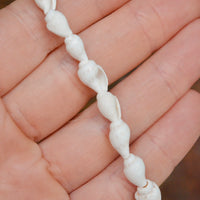 Natural Trumpet Shell Beads