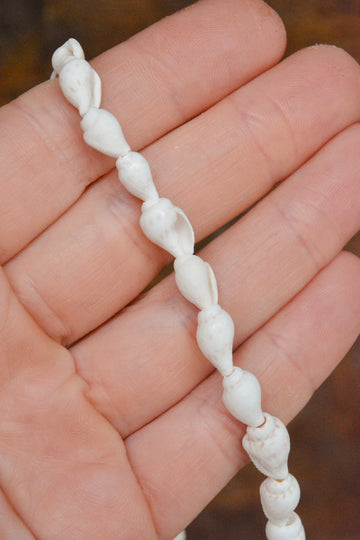 Natural Trumpet Shell Beads