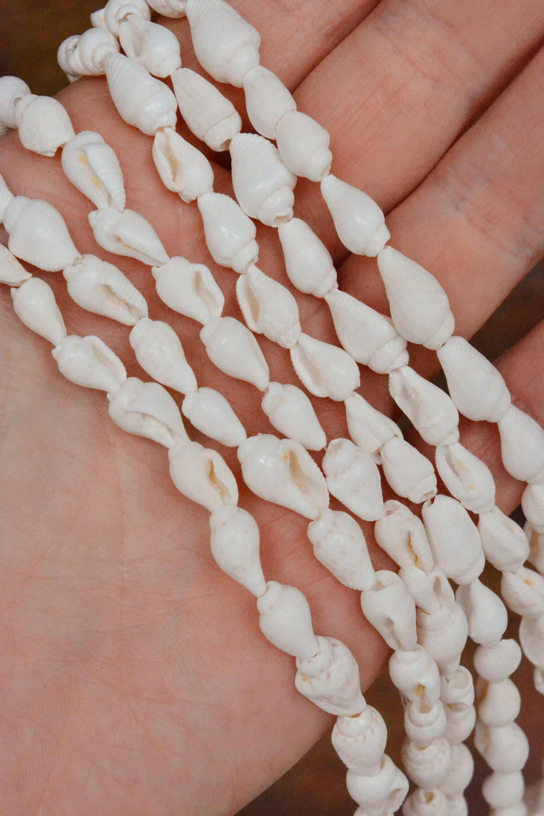 Natural Trumpet Shell Beads