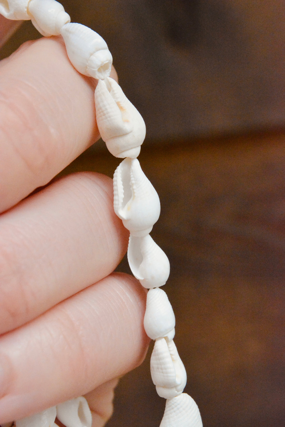 Natural Trumpet Shell Beads