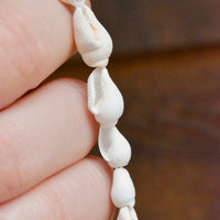 Natural Trumpet Shell Beads