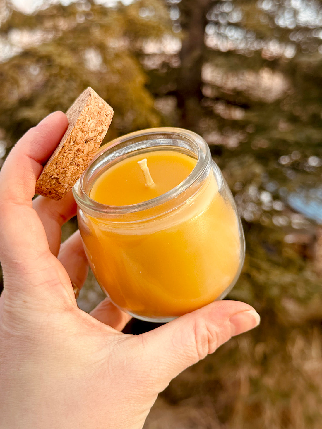 Honey Pot Candle - Alaskan Beeswax