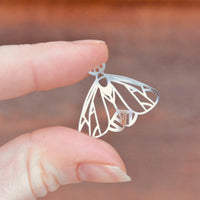 Enchanted Moth Frames - Silver